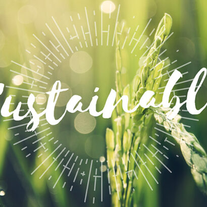 Sostenibilità ambientale: ecco il nuovo must delle strategie marketing