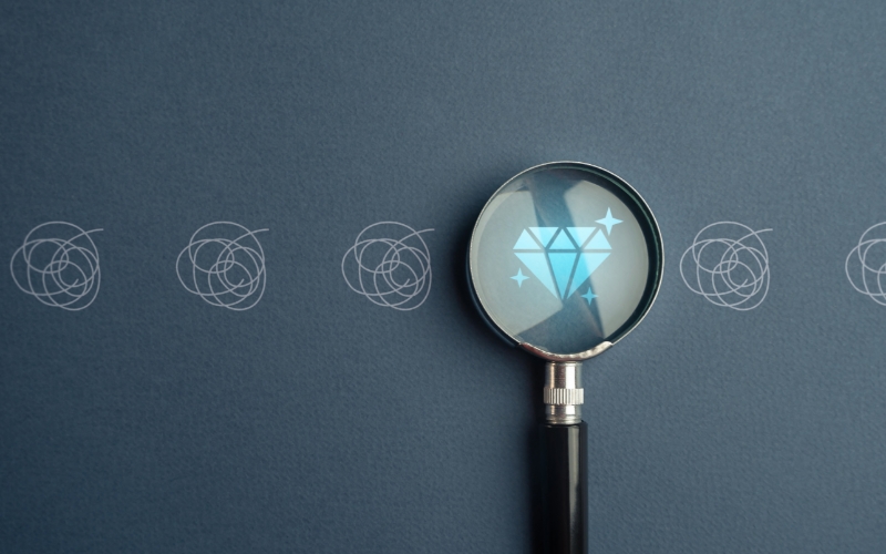 Search Everywhere Optimization